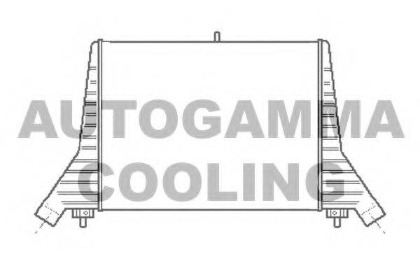 Интеркулер 101501 AUTOGAMMA