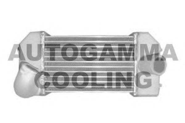 Теплообменник 104136 AUTOGAMMA