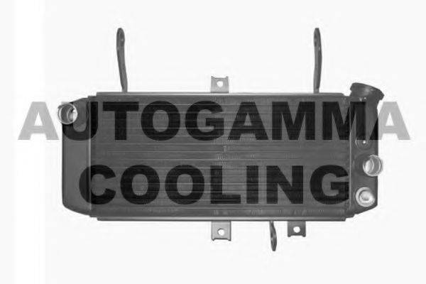 Теплообменник 104344 AUTOGAMMA