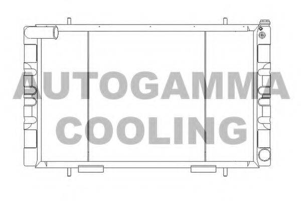 Радиатор, охлаждение двигателя 105566 AUTOGAMMA