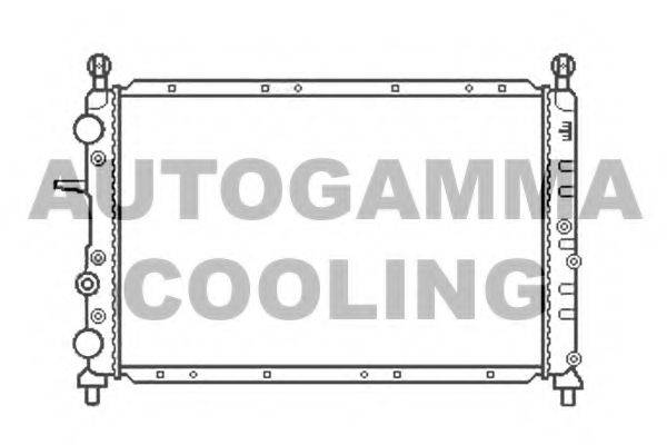 Теплообменник 100013 AUTOGAMMA