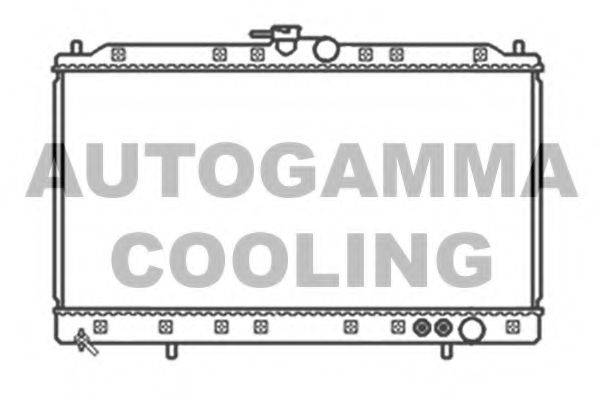 Теплообменник 103488 AUTOGAMMA