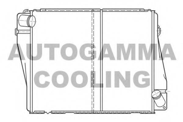 Радиатор, охлаждение двигателя 100081 AUTOGAMMA