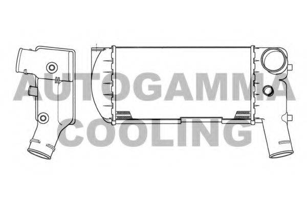 Интеркулер 101862 AUTOGAMMA