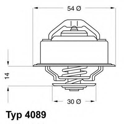 Термостат 4089.87 WAHLER