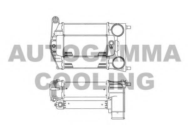Теплообменник 101902 AUTOGAMMA