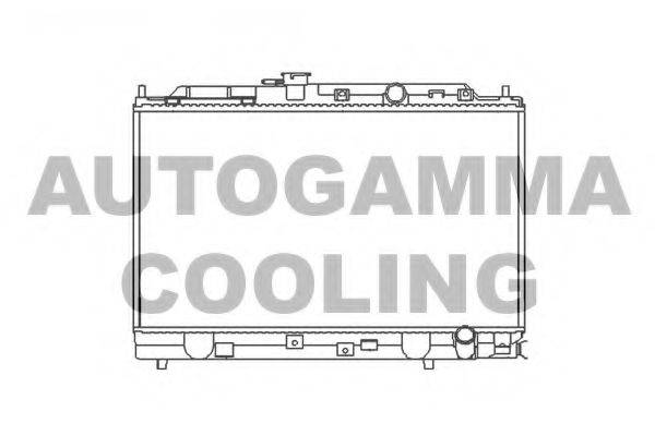 Теплообменник 100419 AUTOGAMMA