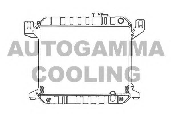 Теплообменник 100398 AUTOGAMMA