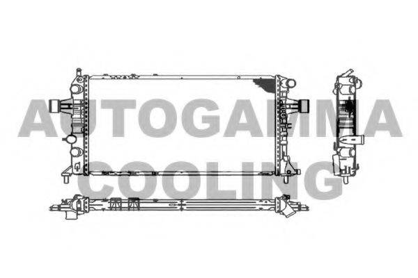 Теплообменник 101449 AUTOGAMMA