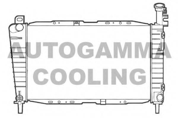 Теплообменник 101428 AUTOGAMMA