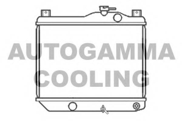Теплообменник 101032 AUTOGAMMA
