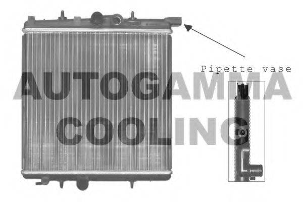 Теплообменник 101231 AUTOGAMMA