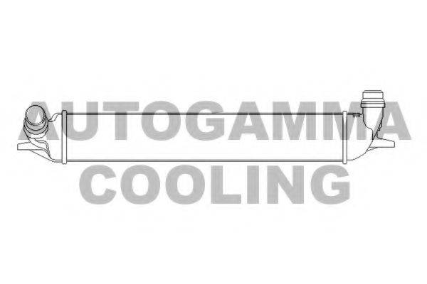 Теплообменник 107196 AUTOGAMMA