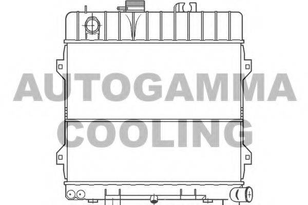 Теплообменник 100113 AUTOGAMMA