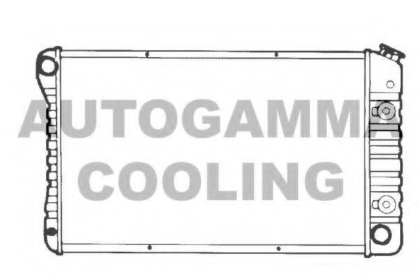 Теплообменник 101370 AUTOGAMMA