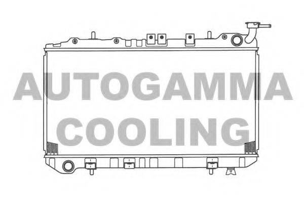 Теплообменник 101221 AUTOGAMMA