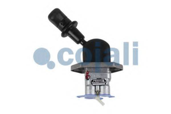Клапан 2224548 COJALI