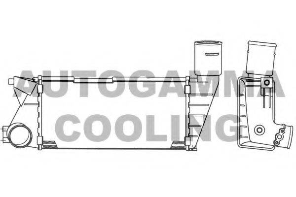 Интеркулер 101863 AUTOGAMMA