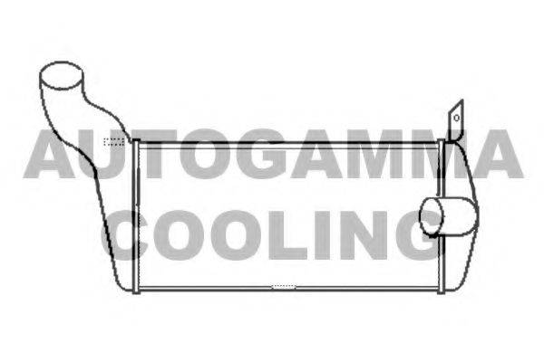 Интеркулер 102388 AUTOGAMMA