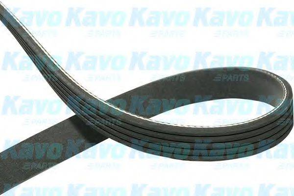 Поликлиновой ремень DMV-3023 KAVO PARTS