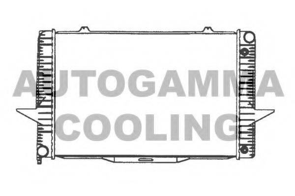 Теплообменник 101291 AUTOGAMMA