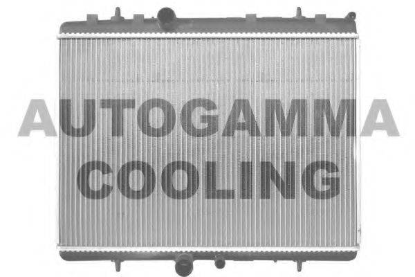 Теплообменник 103587 AUTOGAMMA