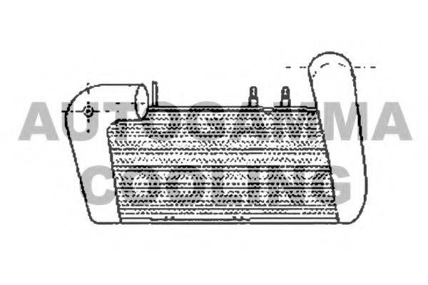 Интеркулер 102393 AUTOGAMMA