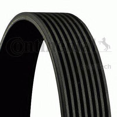 Ремень 8PK1095 CONTITECH