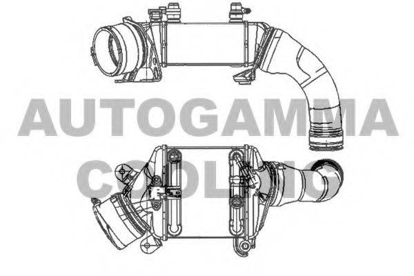 Теплообменник 105334 AUTOGAMMA