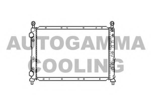 Теплообменник 101141 AUTOGAMMA