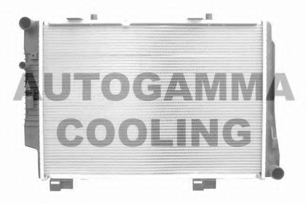 Теплообменник 103975 AUTOGAMMA