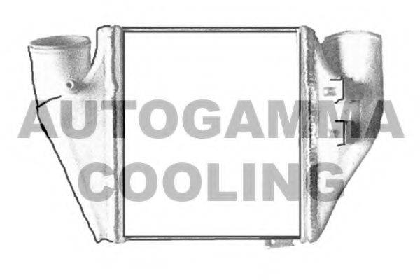 Теплообменник 103883 AUTOGAMMA