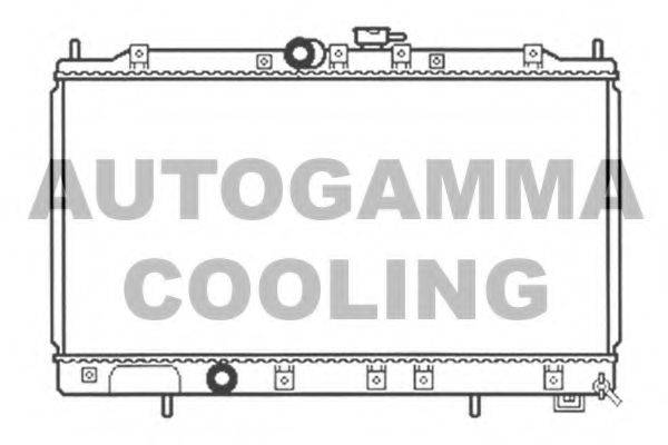 Теплообменник 103480 AUTOGAMMA