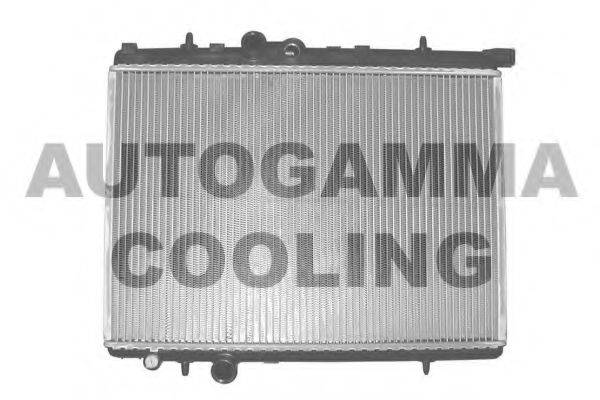 Теплообменник 101329 AUTOGAMMA