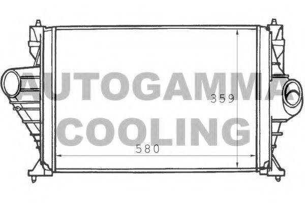 Интеркулер 101487 AUTOGAMMA