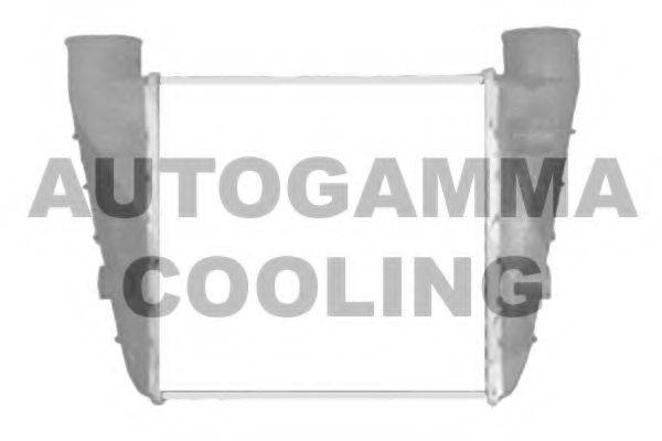 Теплообменник 103343 AUTOGAMMA