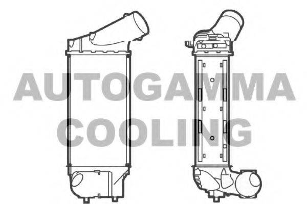 Интеркулер 104490 AUTOGAMMA