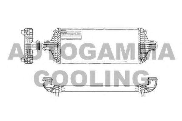 Теплообменник 101930 AUTOGAMMA