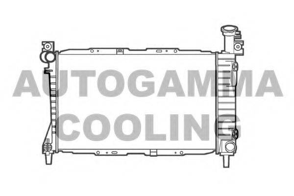 Теплообменник 101429 AUTOGAMMA