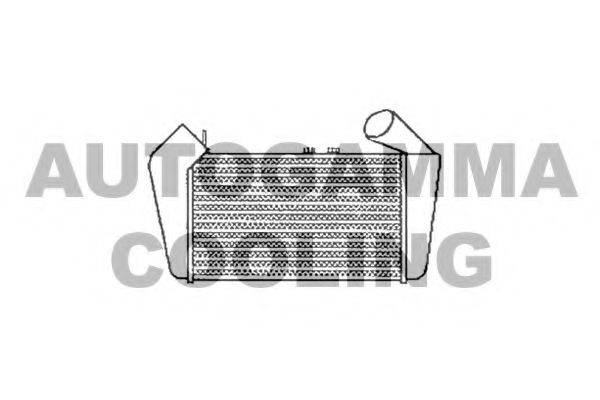 Интеркулер 102392 AUTOGAMMA