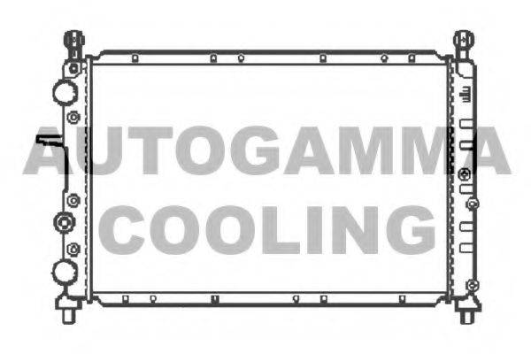Радиатор, охлаждение двигателя 100017 AUTOGAMMA