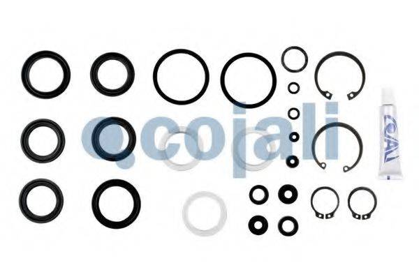 Ремкомплект 6012128 COJALI