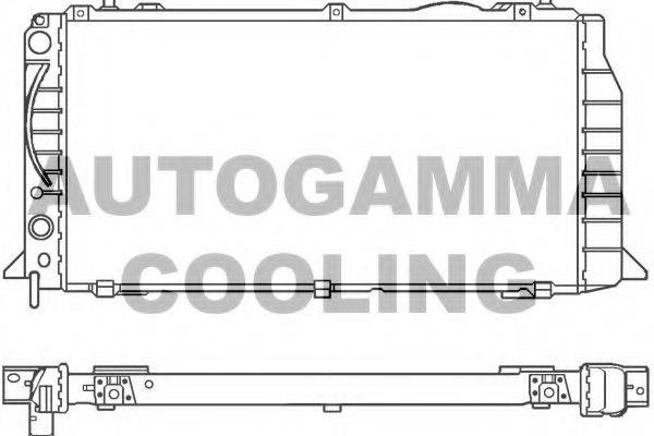 Радиатор, охлаждение двигателя 100046 AUTOGAMMA