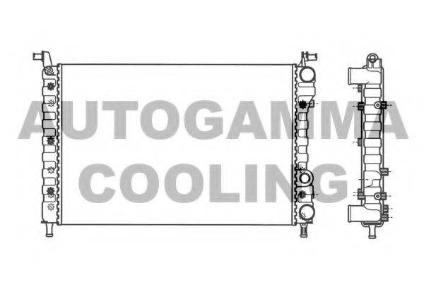 Теплообменник 101189 AUTOGAMMA