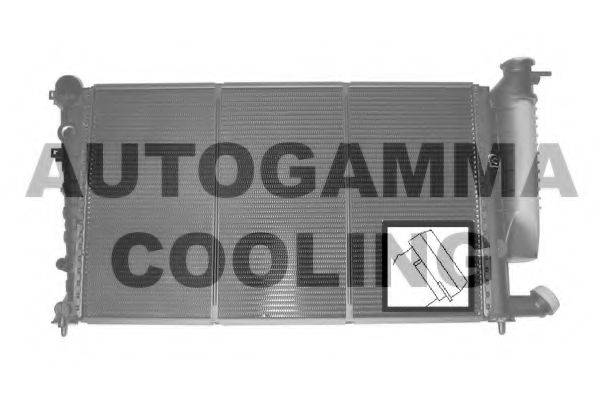 Радиатор, охлаждение двигателя 101313 AUTOGAMMA