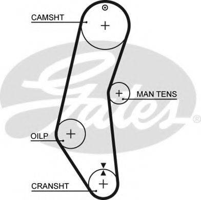 Ремень ГРМ 340018181362 MAGNETI MARELLI