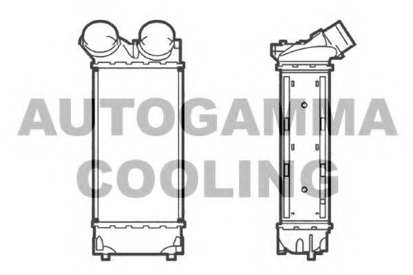 Интеркулер 104491 AUTOGAMMA