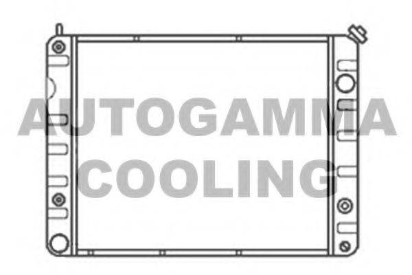 Радиатор, охлаждение двигателя 100789 AUTOGAMMA