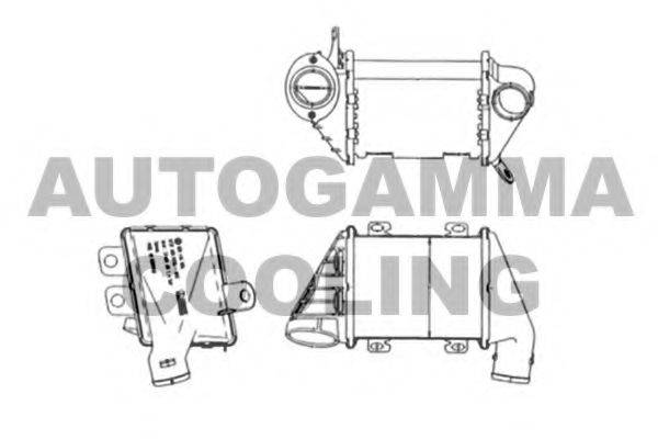 Теплообменник 103950 AUTOGAMMA