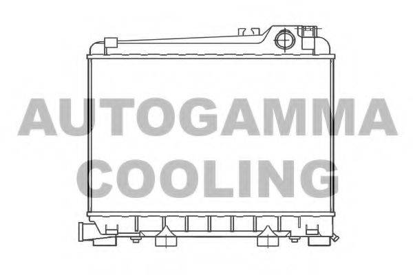 Теплообменник 100119 AUTOGAMMA